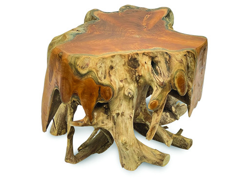 Small round spider teak root - spider,