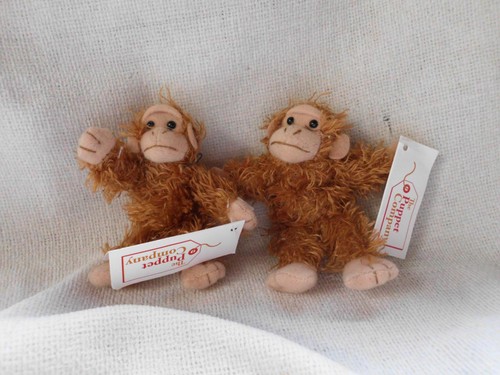 The puppet company brand - company, new