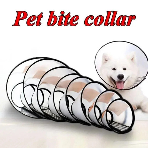Elizabethan pet protective - elizabethan,