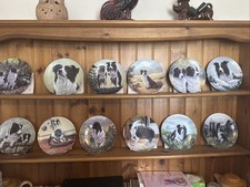 Danbury Mint Border Collie