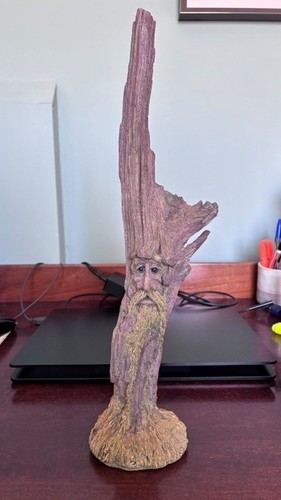 Wf01 tall tree from - wf01,