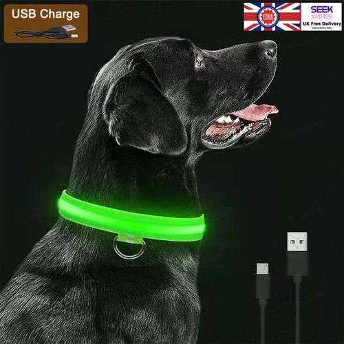Led dog pet collar usb - pet,