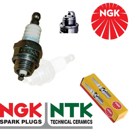 Ngk spark plug - plug,