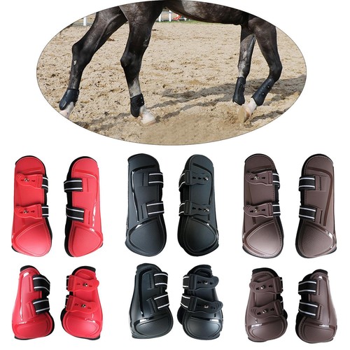 Horse tendon boots pack - horse,