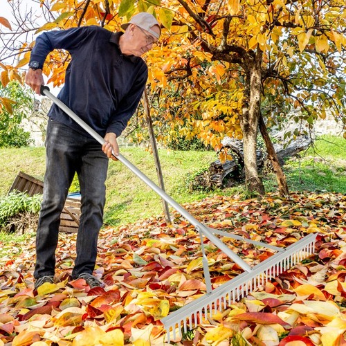 Landscape lawn rake yard - landscape,