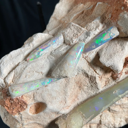 Opal belemnite fossils - opal, in