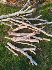 Silver Birch Tree Logs for Fireplace Log Burners Freshly Cut Various Sizes