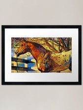 Appaloosa horse sitting near a