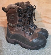 Irish Setter Snow Tracker 2898