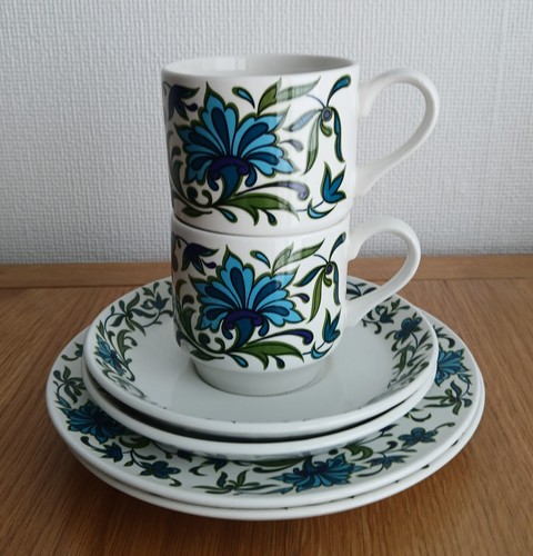 Midwinter spanish garden cups - midwinter,