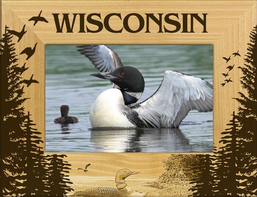 Wisconsin with loon - wisconsin,