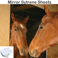 Horse Stable Safety MIRROR Equestrian Horse Box helps stop vices + 4 Holes