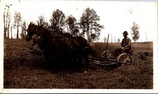 Farmer on  Horse Drawn Farm