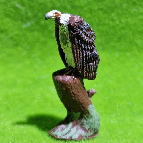 Rare britains zoo vulture - britains,