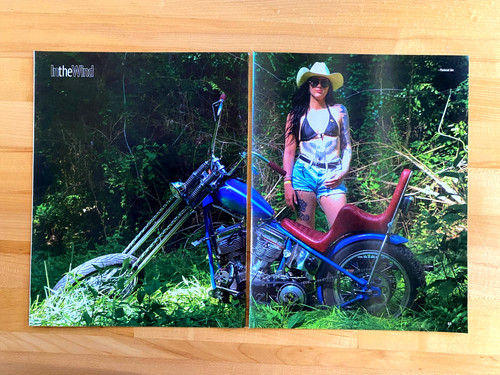 2024 print pic harley davidson - harley,