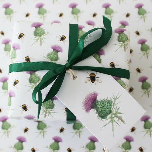 Scottish thistle bumblebee - thistle,