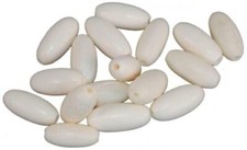 1x Replacement Sitar Bone Fine