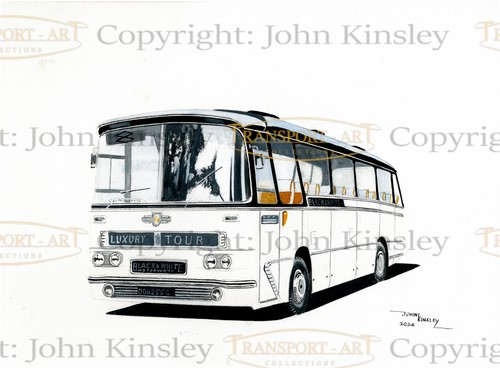 Black white leyland leopard - black,