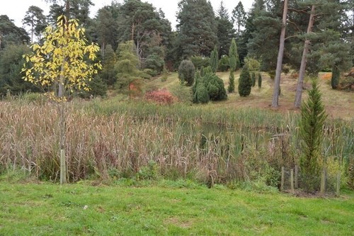 Photo 6x4 small lake - 6x4,