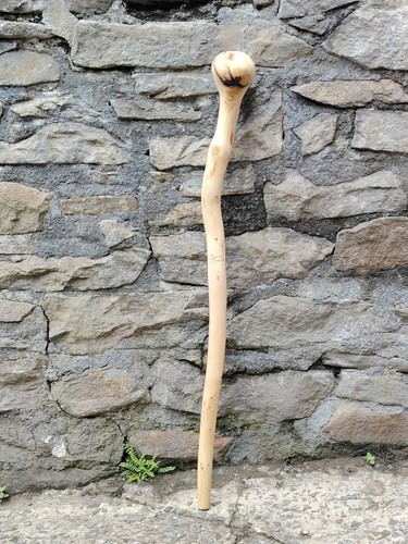 Classic white oak - classic, shillelagh