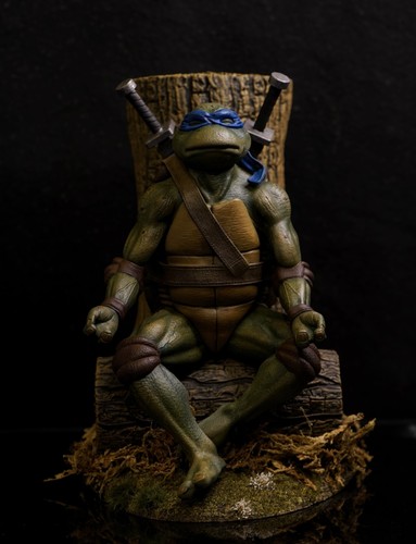 Teenage mutant ninja turtles - ninja,