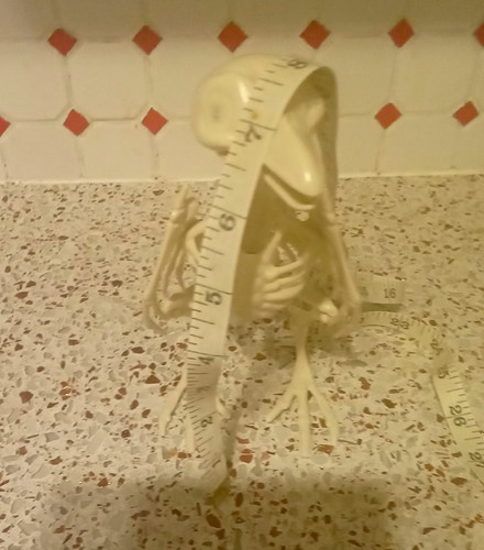 White plastic bird - plastic,