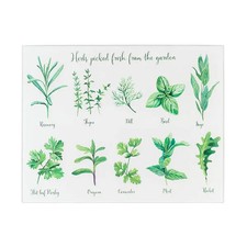 Tala Herbs Glass Worktop Saver