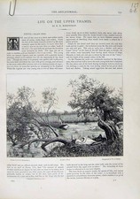 Old Antique Print 1870 Art