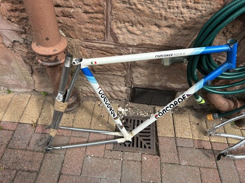 Concorde aquila bike - concorde,