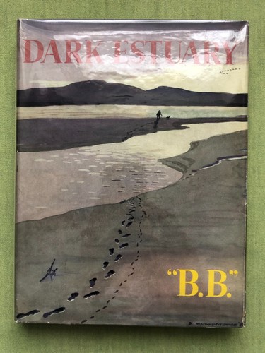 Dark estuary - “b.b.”,