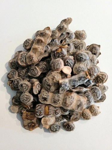 Organic bagaruwa - bagaruwa, (acacia