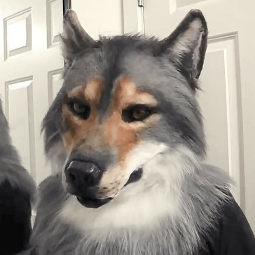 Adults big bad - adults, werewolf