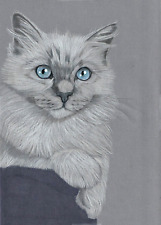 Original coloured pencil