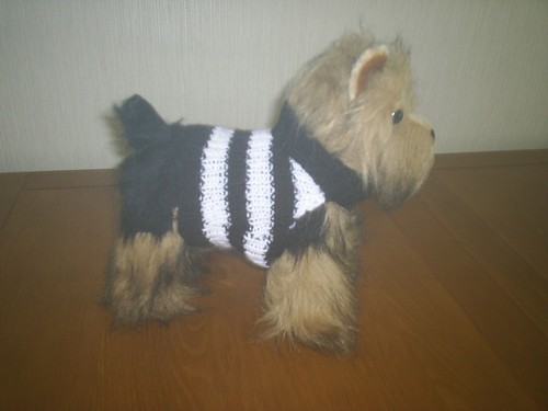 Hand knitted dog - ,