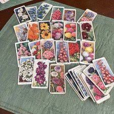 Garden Flowers Cigarette Cards 