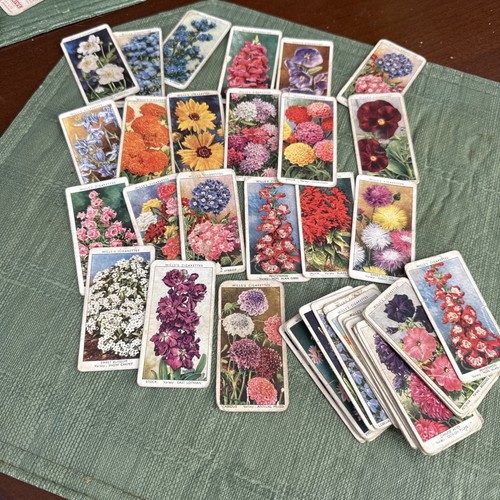 Garden flowers cigarette cards - garden,