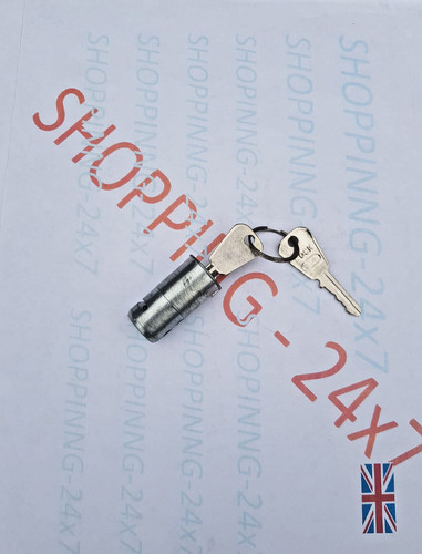 Steering lock with two keys - steering,