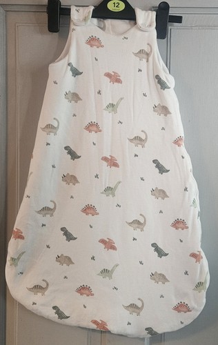 Baby dinosaur sleeping - sleeping, bag