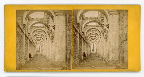 Stereoview stereoscope card - stereoview,