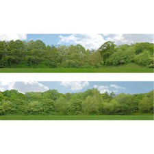 Art Printers OO Gauge 15" High Trees Backscene 149B