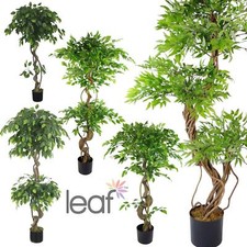 LARGE Ruscus Trees Artificial
