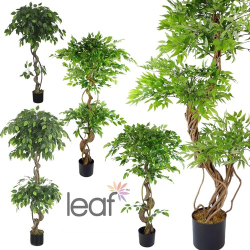 Artificial ficus tree - ficus, indoor