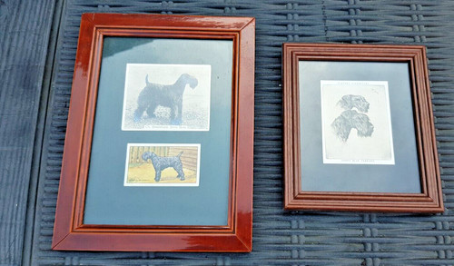 Job lot picture photo - lot, 2