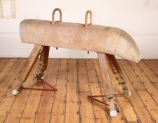 Vintage Suede Pommel Horse Gym