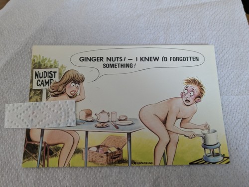 Bamforth saucy seaside - saucy,