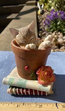 Country Artists Kitten Tales -