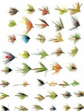 Mixed assortment fly - assortment, of