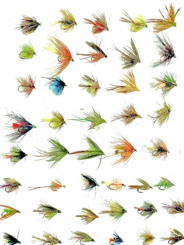 Mixed assortment fly - mixed,