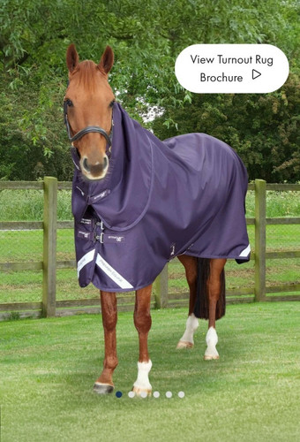 Premier equine stratus turnout - equine,