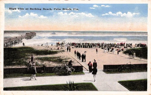 Palm beach florida - florida, fishing